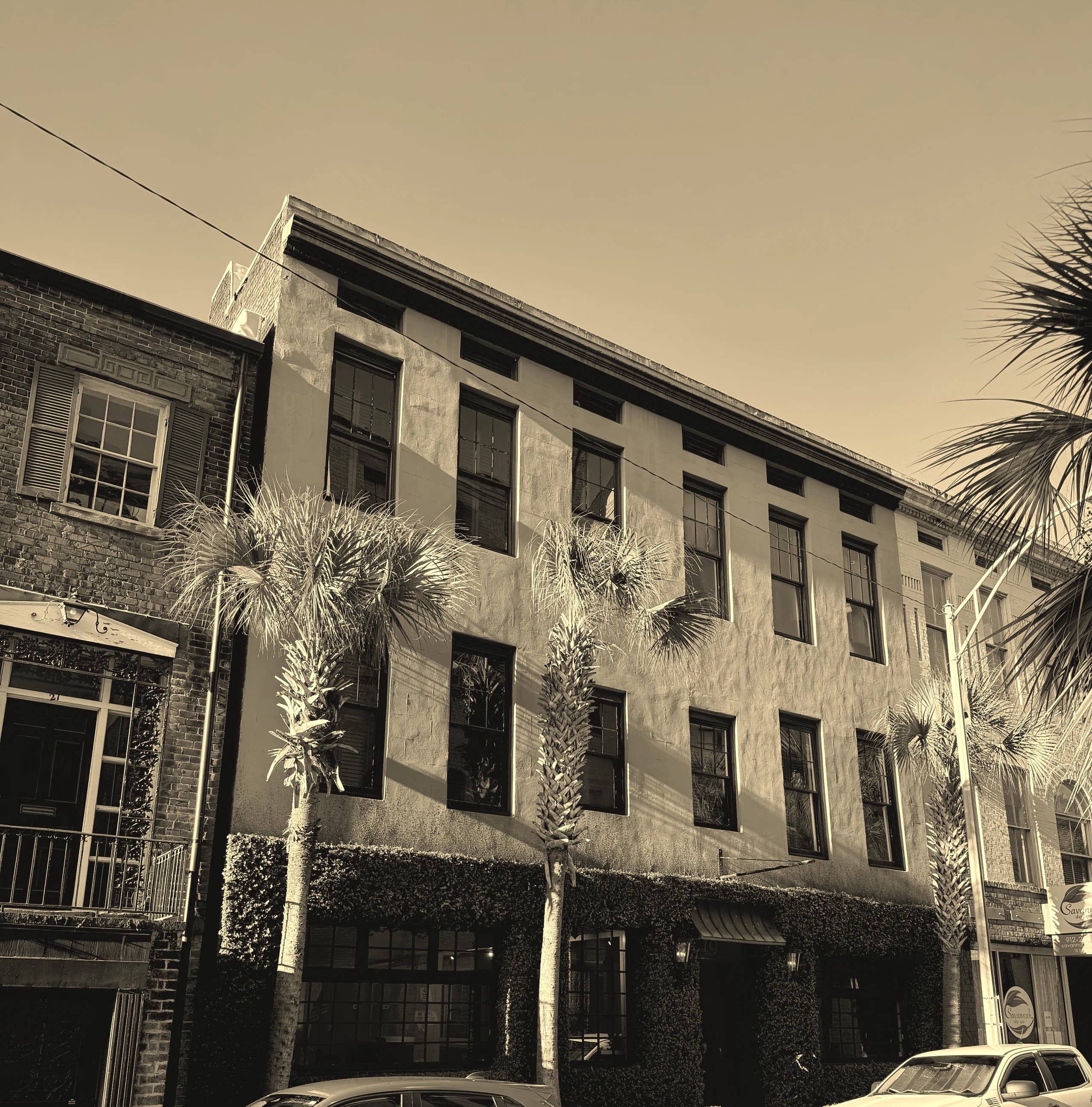 The salon's building from the street: three stories of stucco over an ivy-covered ground floor, palms along the sidewalk, a clear sky